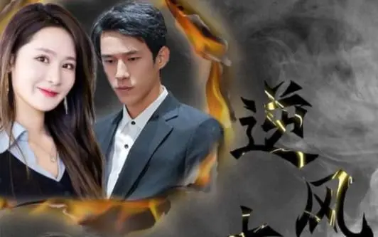 《逆风大小姐》：不按套路出牌的职场逆袭！看她如何乘风破浪，玩转人生高光时刻！