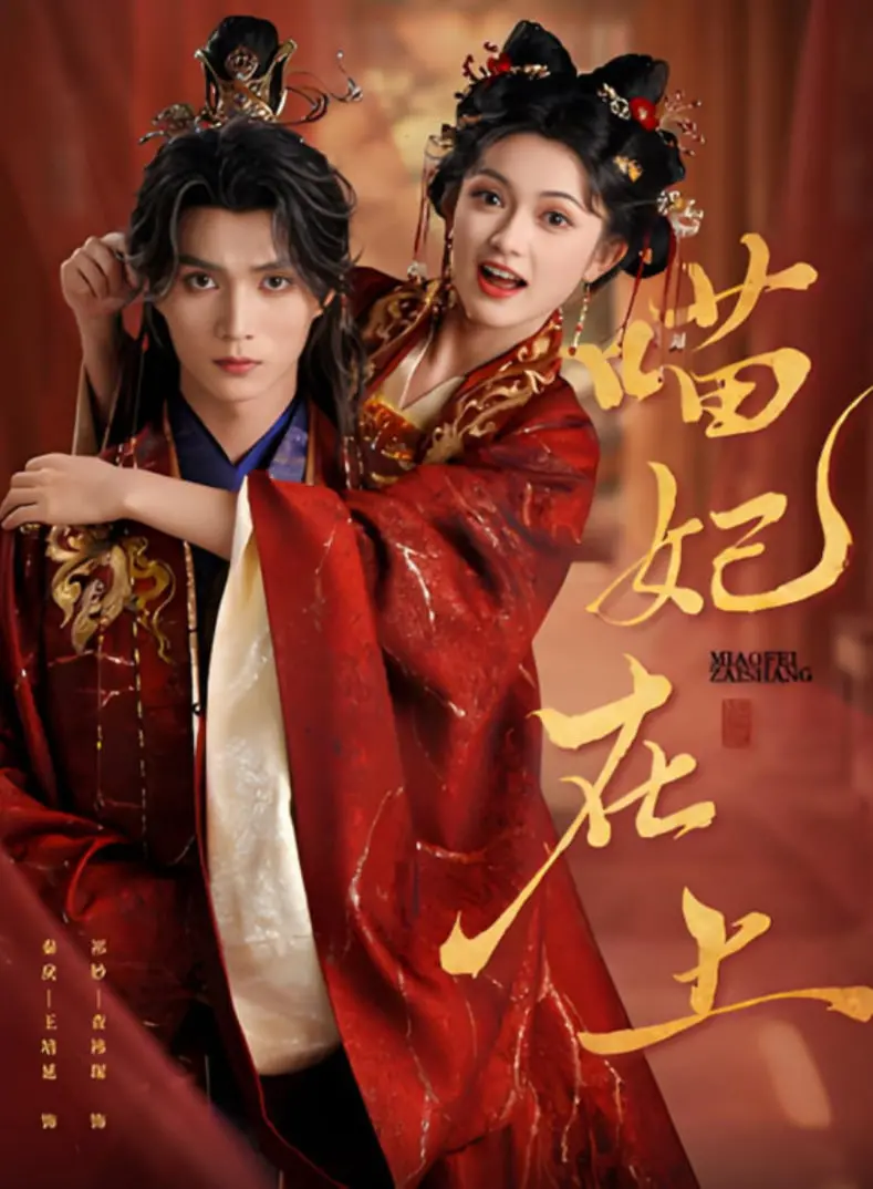 《喵妃在上》：当傲娇御姐变成猫！跨越种族的爱恋，甜到掉牙的奇幻爱情喜剧